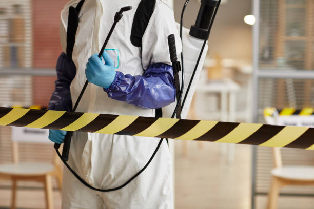 Professional Sewage Cleanup technician working in Osceola, MO